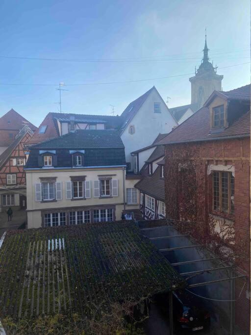 Suites Du Trefle Colmar Kültér fotó