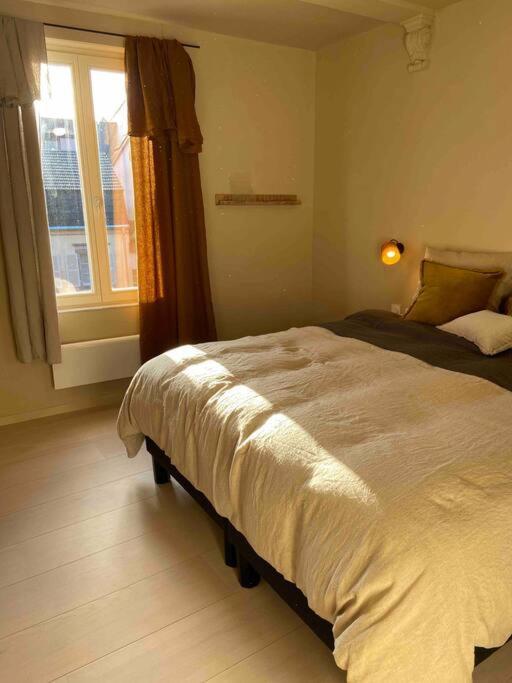 Suites Du Trefle Colmar Kültér fotó